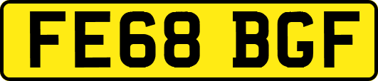 FE68BGF