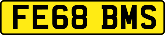 FE68BMS