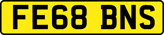 FE68BNS