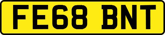 FE68BNT
