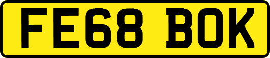 FE68BOK