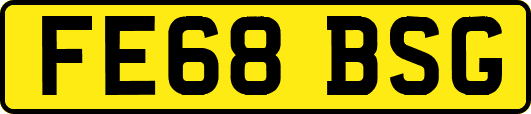 FE68BSG