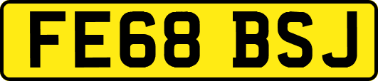 FE68BSJ