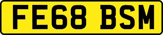 FE68BSM