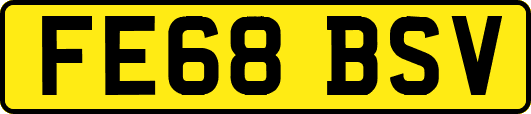 FE68BSV
