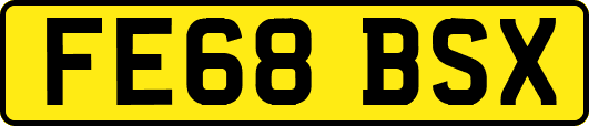 FE68BSX