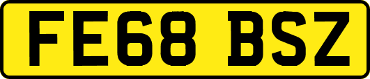FE68BSZ