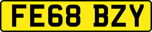 FE68BZY