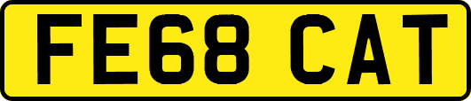 FE68CAT