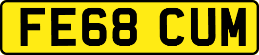 FE68CUM