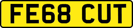 FE68CUT