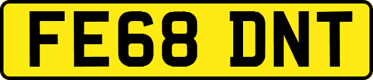 FE68DNT