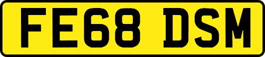 FE68DSM