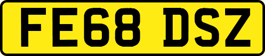 FE68DSZ