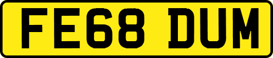 FE68DUM