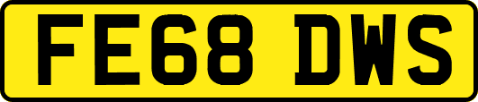 FE68DWS