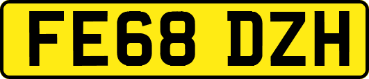 FE68DZH