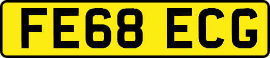 FE68ECG