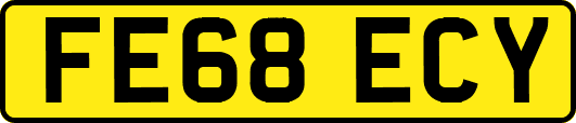 FE68ECY