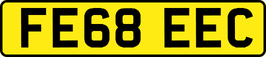FE68EEC