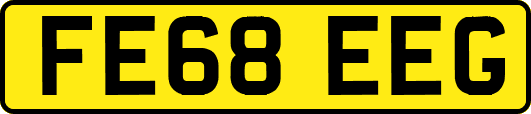 FE68EEG