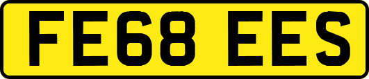 FE68EES