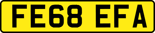 FE68EFA