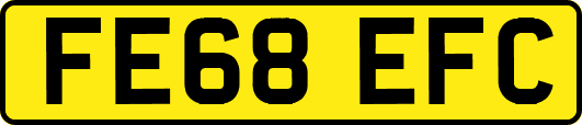 FE68EFC