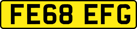 FE68EFG