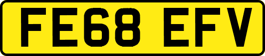 FE68EFV