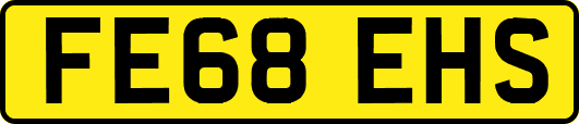 FE68EHS