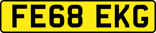 FE68EKG