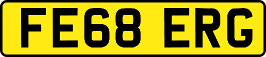 FE68ERG