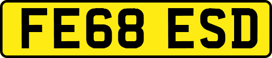 FE68ESD
