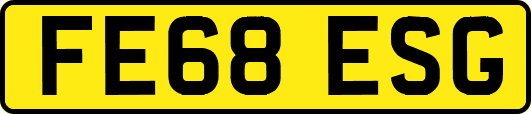 FE68ESG