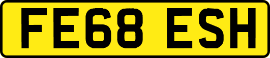 FE68ESH