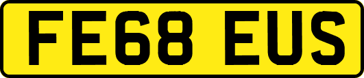 FE68EUS