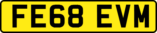 FE68EVM