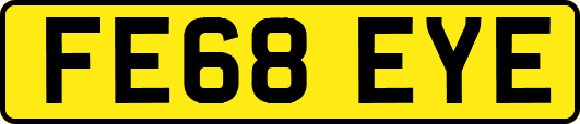 FE68EYE