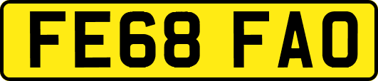 FE68FAO