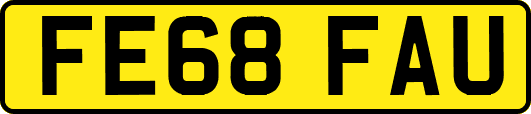 FE68FAU