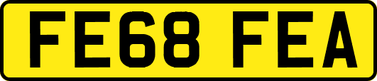 FE68FEA