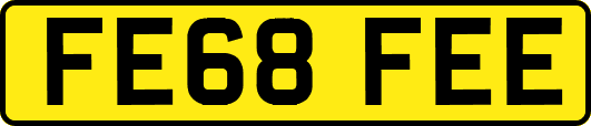 FE68FEE