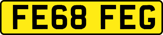 FE68FEG