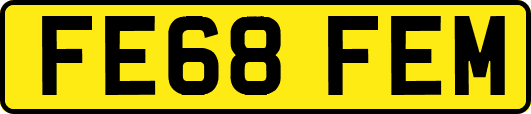 FE68FEM