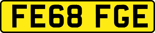 FE68FGE