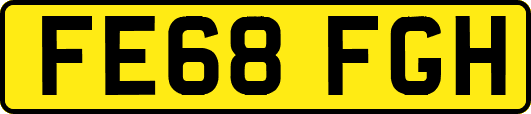 FE68FGH