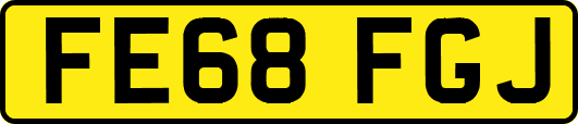 FE68FGJ