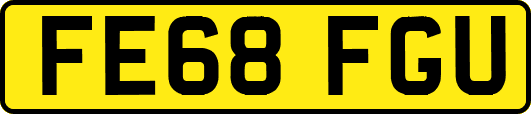 FE68FGU