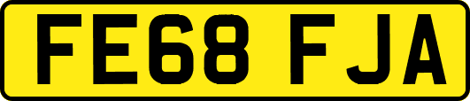 FE68FJA